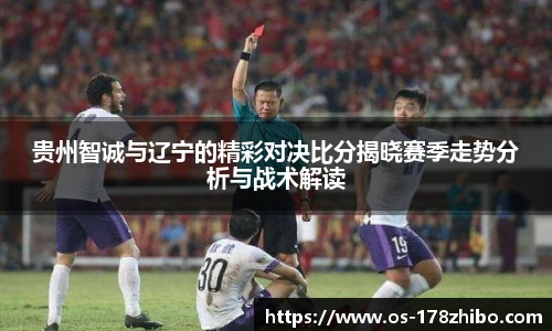 贵州智诚与辽宁的精彩对决比分揭晓赛季走势分析与战术解读
